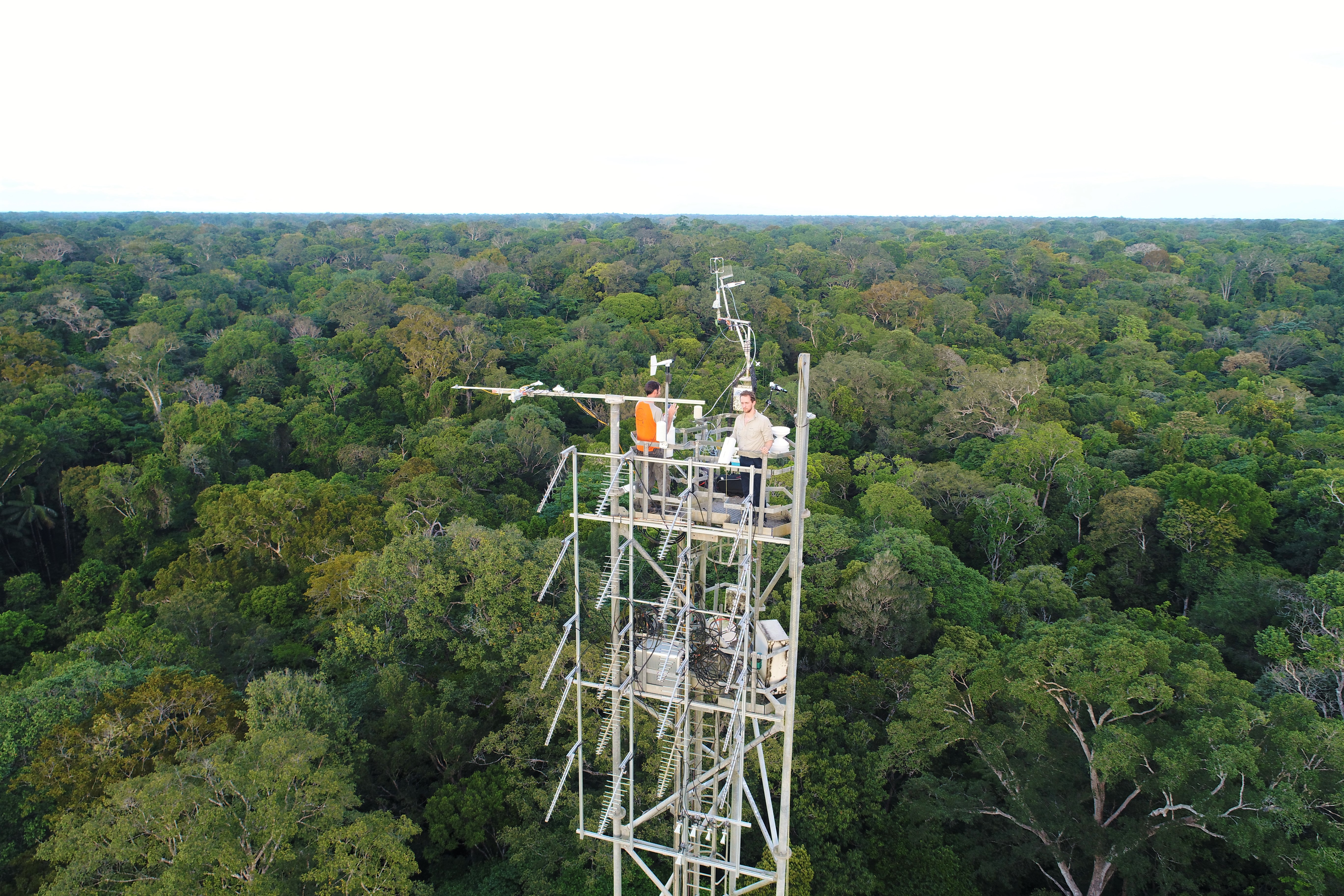 Research flux tower above the tropical forest canopy in French Guiana